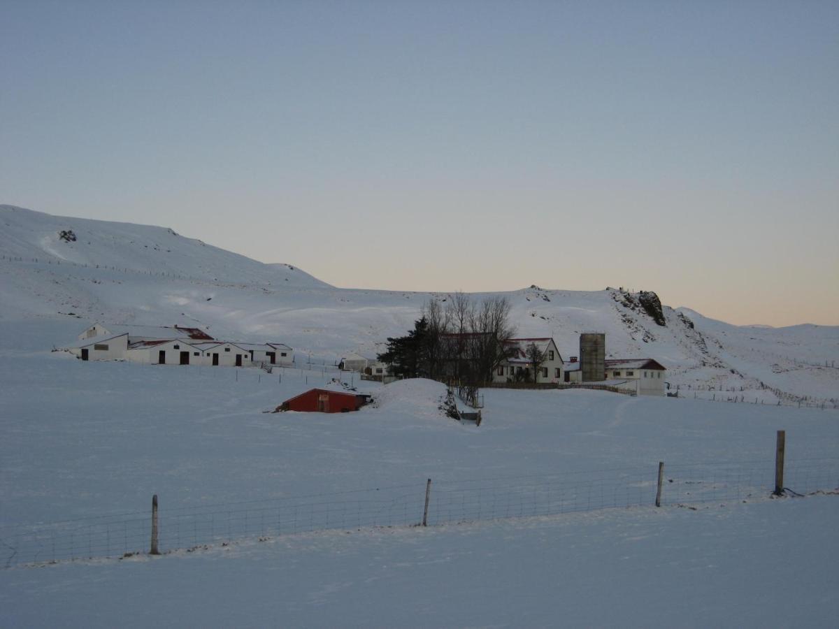 Asbrandsstadir Cottage Vopnafjorthur 외부 사진
